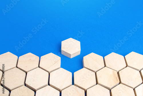 Bilde på lerret Hexagonal figure emerges from holistic structure