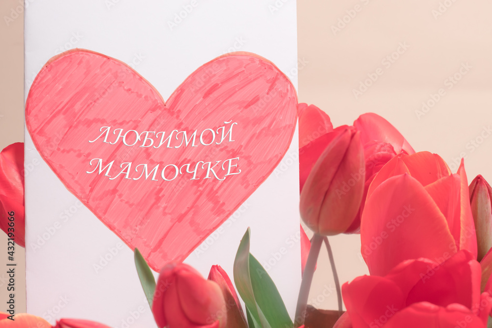 Beautiful greeting card with tulips with the inscription on the Russian dear mommy. Happy Mother's Day