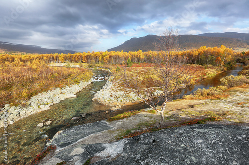 fall in Norway photo