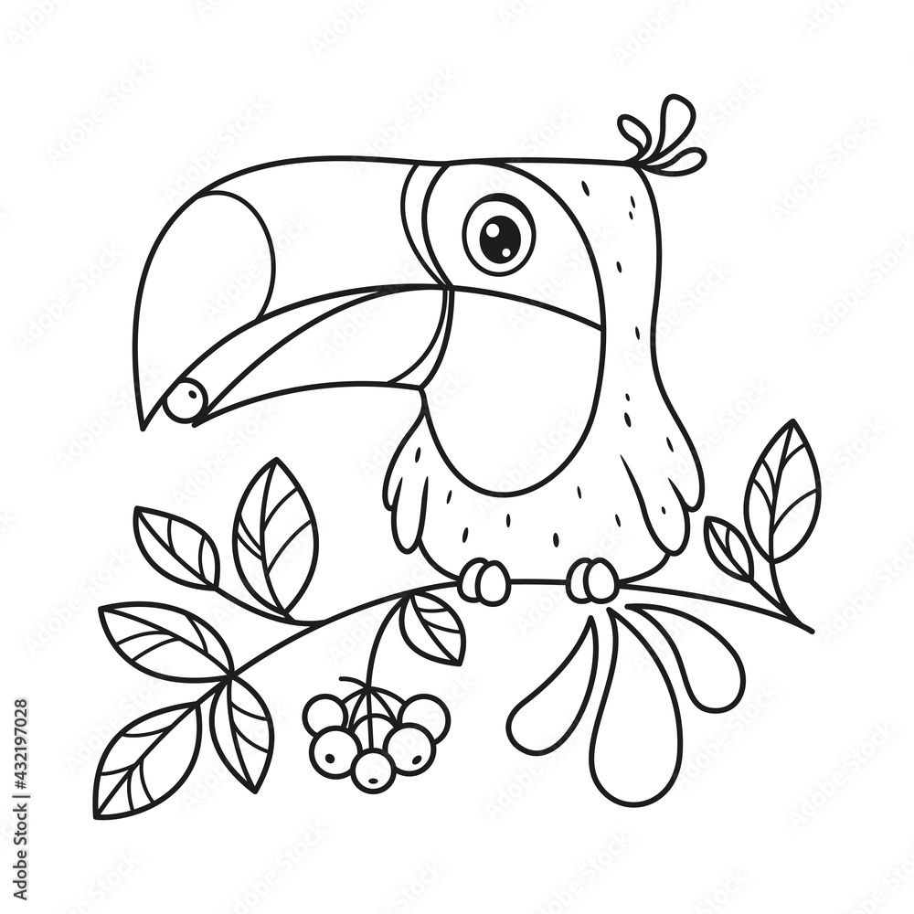 Fototapeta premium Toucan sits on branch and eats berry coloring page. Cartoon vector illustration