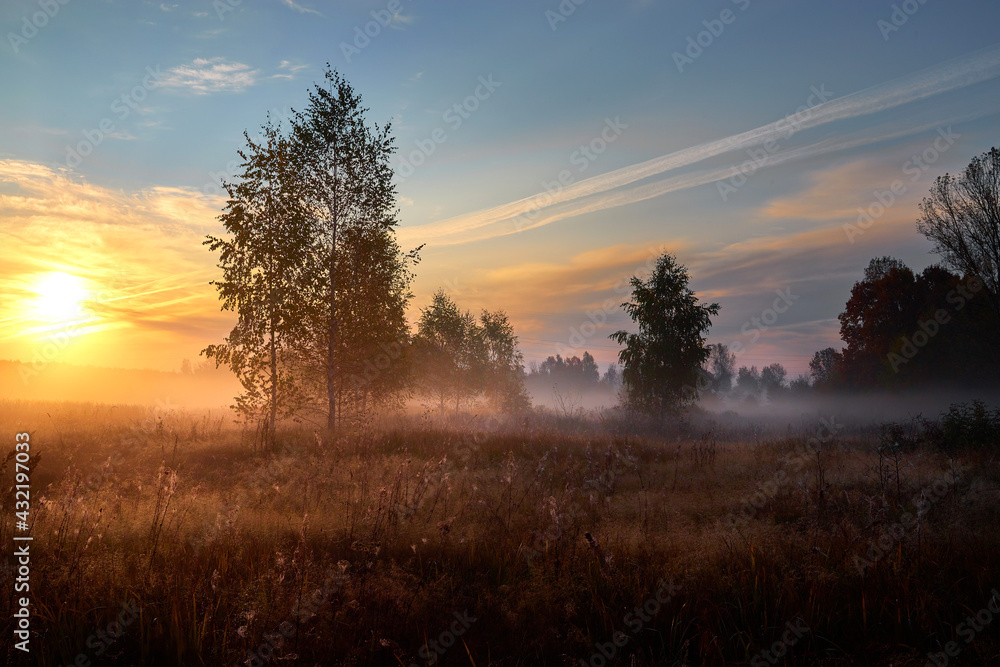 Autumn golden sunrise. Forest recreation area. Autumn in Russia. Sunny day. Autumn golden sunrise. Forest recreation area. Autumn in Russia. Sunny day.