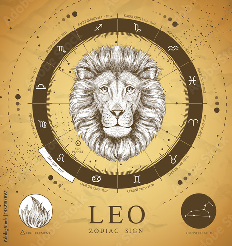Vintage magic witchcraft card with astrology Leo zodiac sign. Realistic hand drawing lion head. Zodiac characteristic