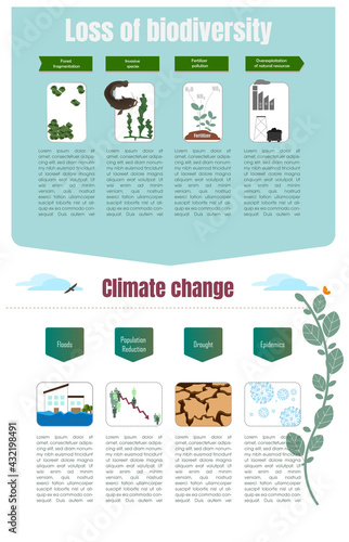 Biodiversity loss is an ecosystem problem.