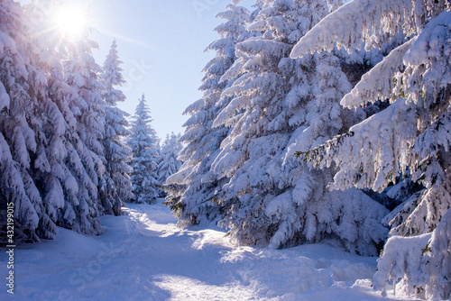 Beautiful winter landscape. Mountains in winter. The forest is covered with snow. Landscape for poster.Snowdrifts on winter snow covered mountainside and sun shine in blue sky. 