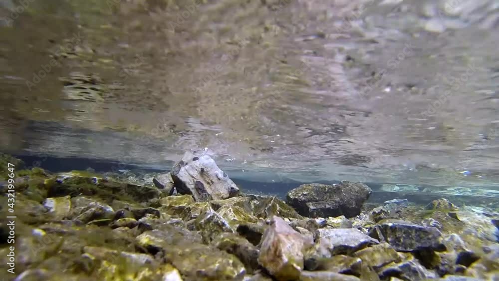 underwater underwater