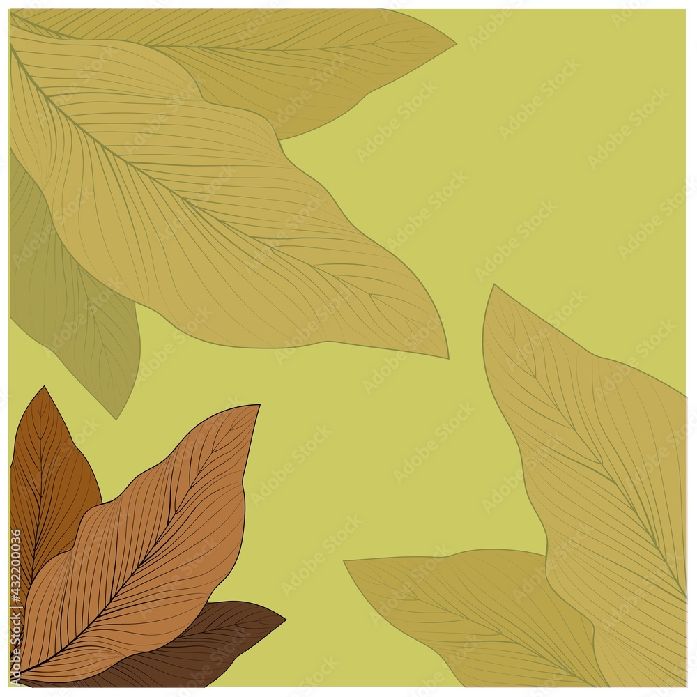 Autumn leaves on colorful background. Graphic element vector. Nature background vector.