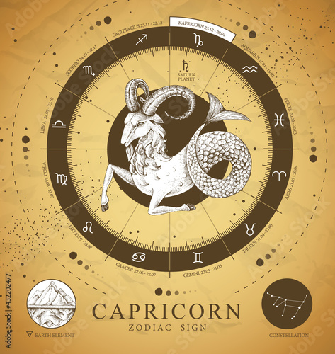 Vintage magic witchcraft card with astrology Capricorn zodiac sign. Realistic hand drawing ram or mouflon head. Zodiac characteristic