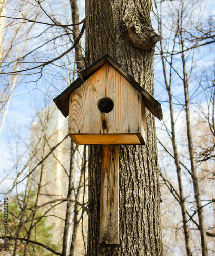 Birdhouse on a tree. Wooden bird house on a tree trunk in a green park outdoors.