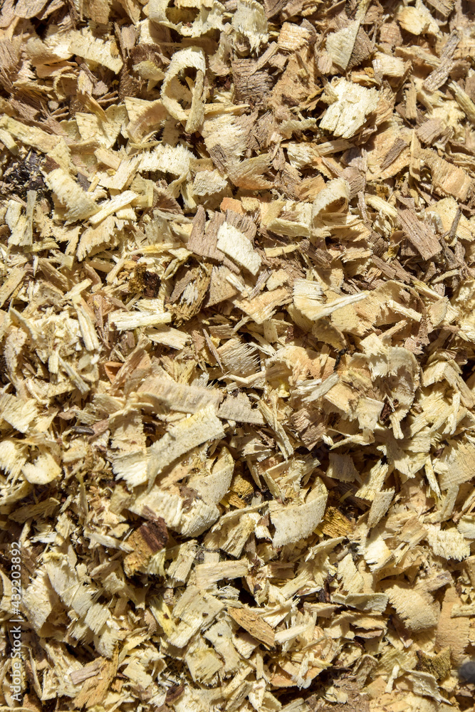 Background of large wooden shavings from chain saw. Production waste. Close-up. Selective focus. Background of large wooden shavings from chain saw. Production waste. Close-up. Selective focus.