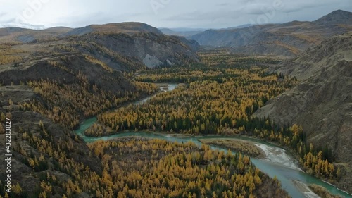 River flowing through mountainous valley. Drone view of picturesque landscape of Altay mountain range and narrow winding river flowing among autumnal forest photo