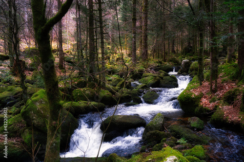 waterfall in the forest