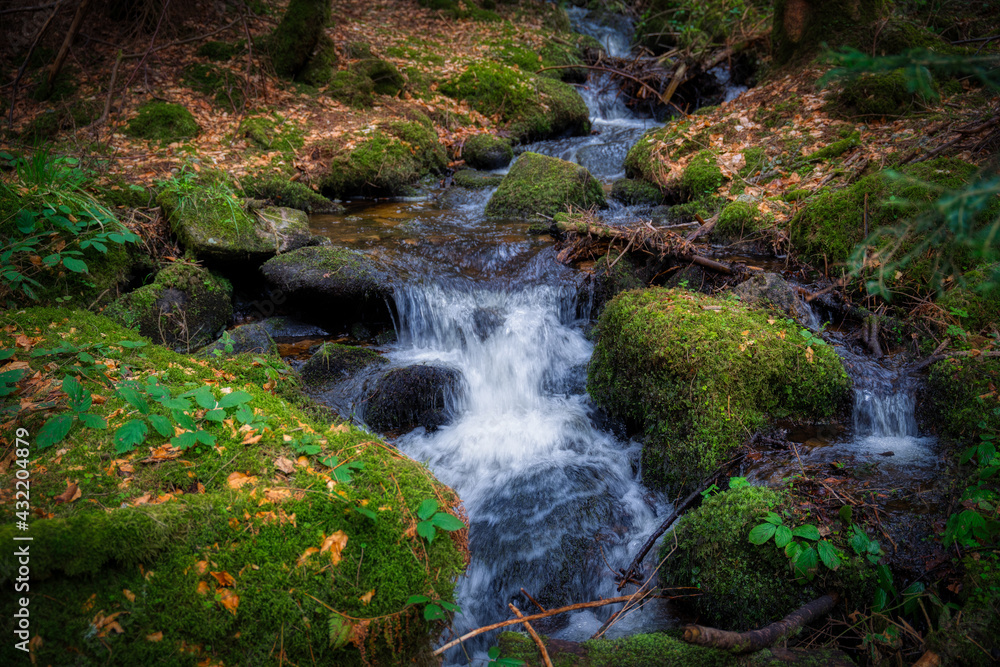 waterfall in the forest waterfall in the forest
