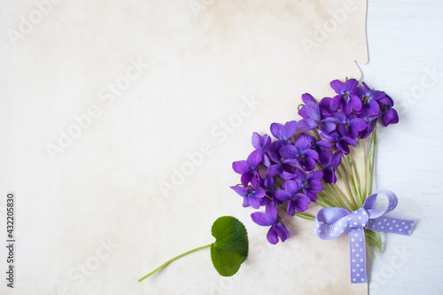 Bouquet of wild violets flowers and vintage paper for congratulation text on a white wooden background.