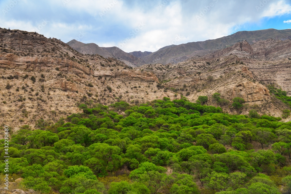 A green valley amidst the barren Andean foothills around the village of Villa Vil on the road to the Antofagasta de la Sierra altiplano, Catamarca, Argentina