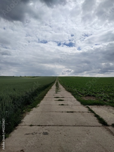 The endless road leading beyond the horizon. Concrete road between wild fields.
