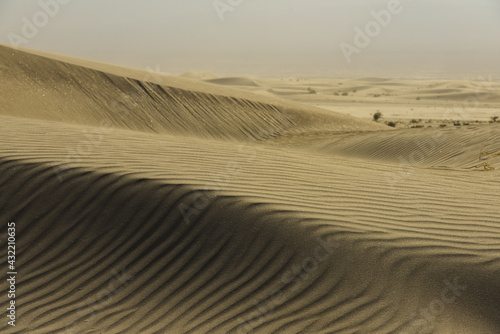 Sand dunes near the town of Fiambalá, Catamarca, Argentina © Pedro