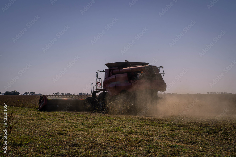 Fototapeta premium combine harvester working on a field