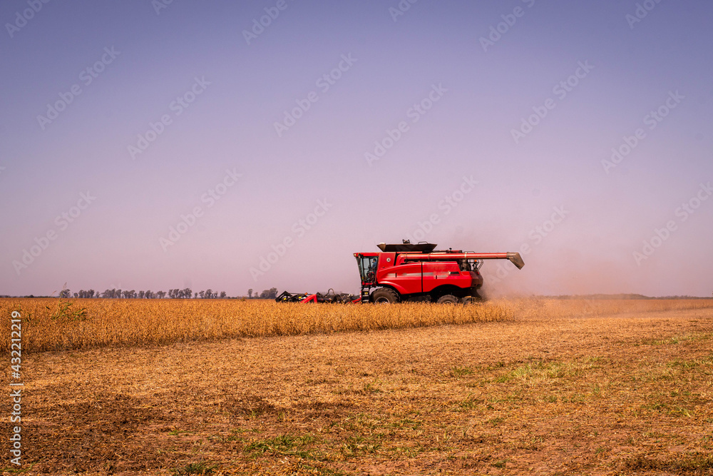 Fototapeta premium combine harvester working in the field