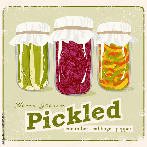 A vector vintage style poster of home pickled vegetables in jars
