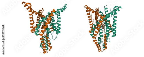 Konstfotografi Structure of human two-pore domain potassium ion channel TREK2 (K2P10