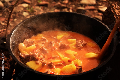 food cooking in stew pot in the nature ,romanian , tocana,traditional ceaun,culdron photo