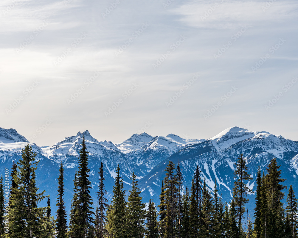 trees in front of Beautiful snow-capped Columbia Mountains against the blue sky in British Columbia Canada trees in front of Beautiful snow-capped Columbia Mountains against the blue sky in British Columbia Canada