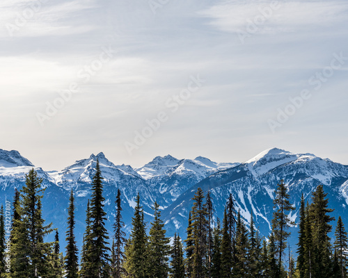 trees in front of Beautiful snow-capped Columbia Mountains against the blue sky in British Columbia Canada