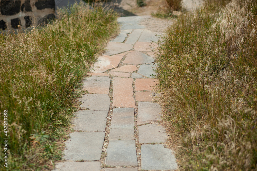 grass with stone road grass with stone road