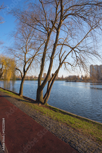 Telbin lake in Kyiv photo