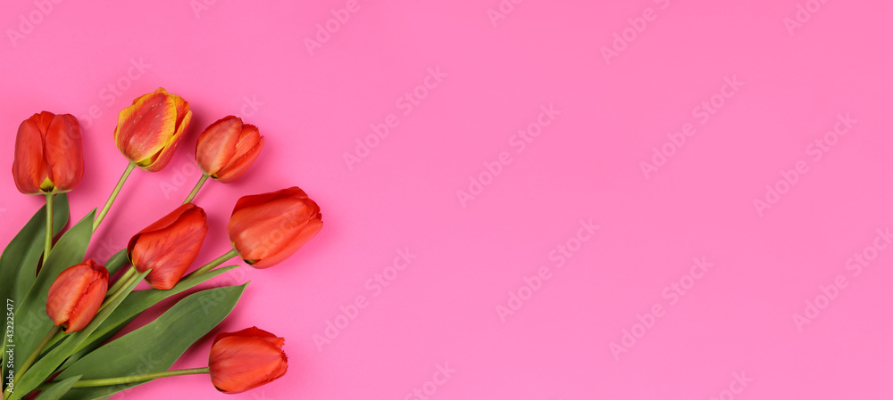 Red tulips on a pink background. Blank for postcards, business cards. Horizontal banner