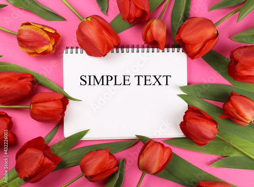 Mockup of tulip flowers on a pink background. Space for text