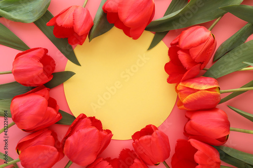 Mockup of tulip flowers on a pink background