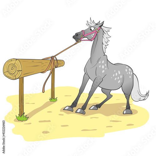 Horse not standing still when tied up