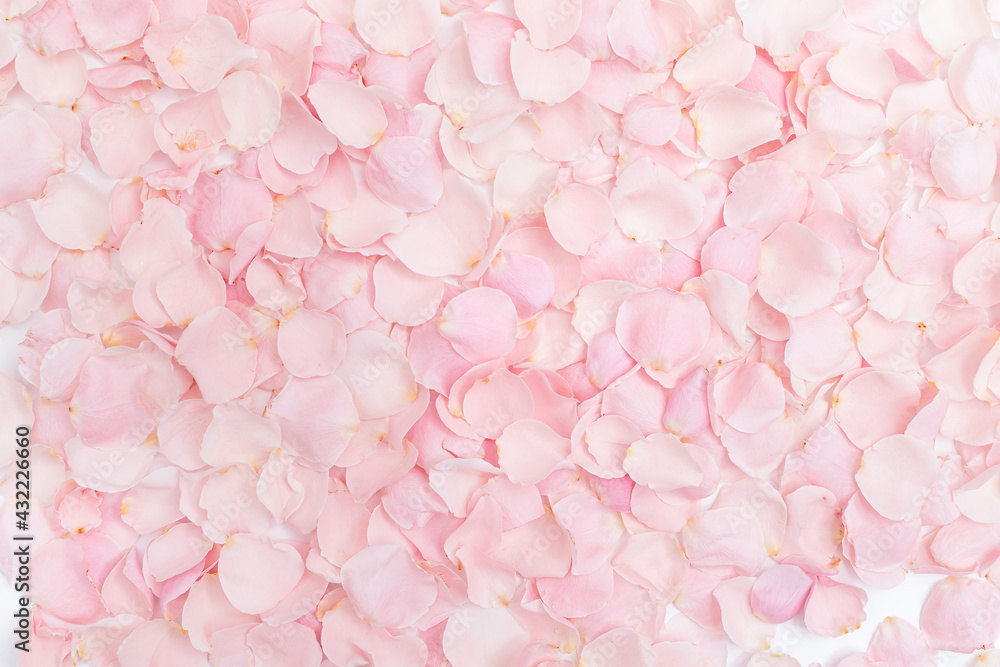 Background of delicate pink rose petals closeup Background of delicate pink rose petals closeup