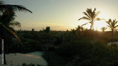 Wallpaper Mural island palms paradise brazil atins sunset golden hour travel tourism summer aerial drone 4k Torontodigital.ca