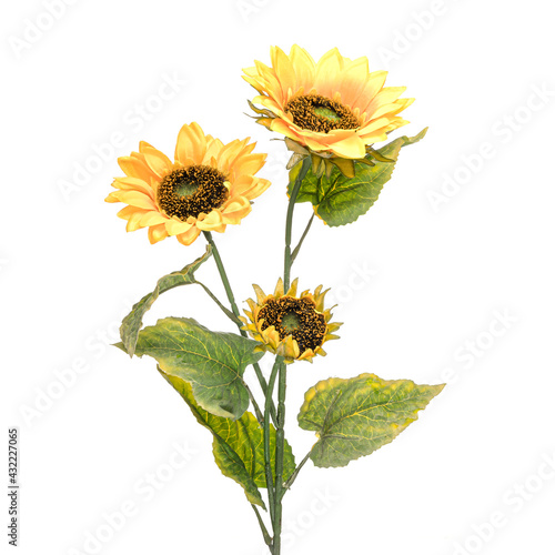 Realistic flowers and plants for designer compositions and interior decoration of residential and office premises. Yellow sunflowers. White isolated background