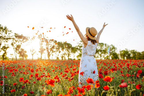 Brunette girl posing in a beautiful blooming poppy field. Warm sunset colors.A young woman in a white dress and a straw hat stands in red flowers. Soft colors. The girl throws flower petals at sunset.