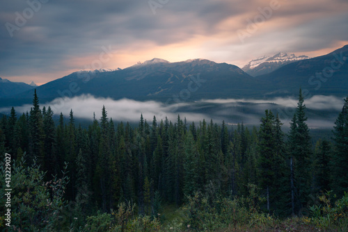 Long exposure of mist rolling through the valley in Banff National Park in the early morning. Blue hour with sparse sunlight in Canadian Rockies. Morning in the mountains of Alberta, CAN. © Petr