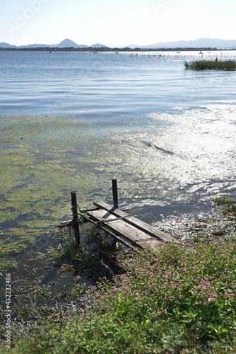 琵琶湖湖畔の風景 滋賀県大津市堅田