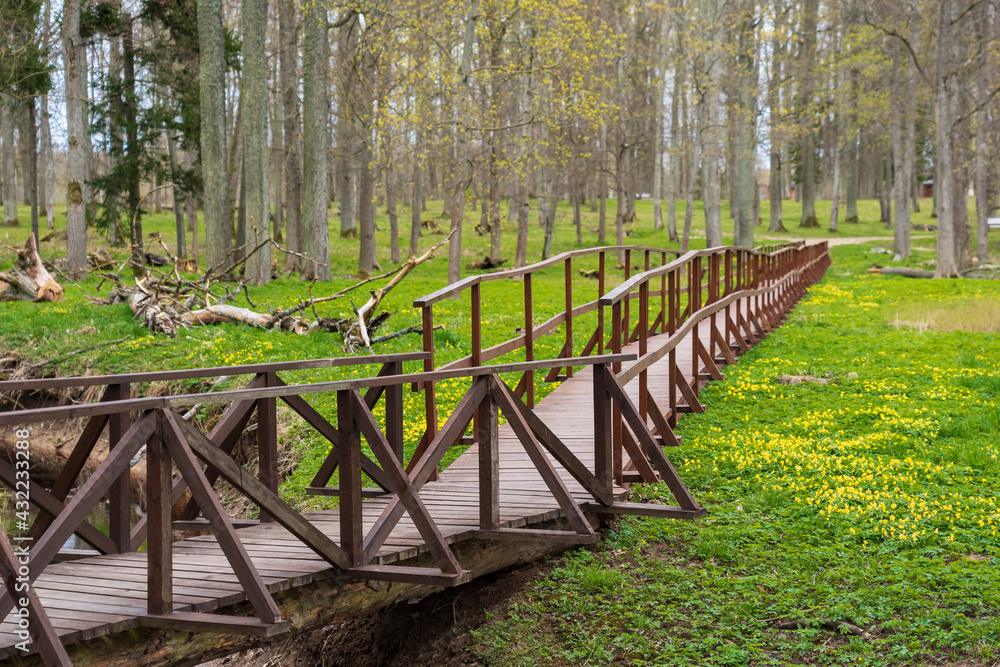 A long wooden bridge in the park between the trees. Yellow flowers background..
