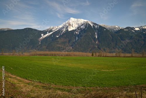 Mount Cheam Fraser Valley British Columbia. A farm field in the Fraser Valley with Mount Cheam in the background. BC.