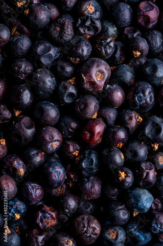 Closeup of juniper berries photo