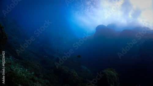 Dramatic underwater waves in light