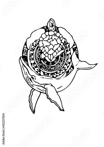 Fauna Tribal