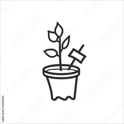 A pot of seedlings. Hand drawn sketch. Vector illustration on a white background.