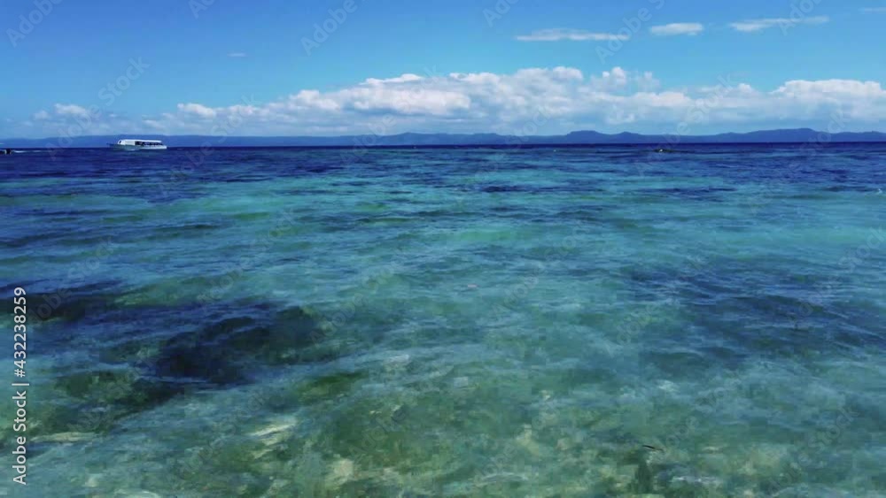 Vuelo rasante por el agua en una playa, Samana, Republica Dominicana Vuelo rasante por el agua en una playa, Samana, Republica Dominicana