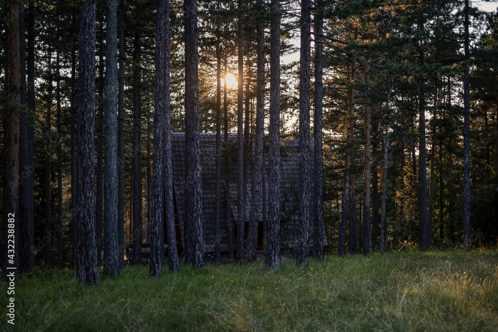 A log cabin placed in the woods viewed at sunset A log cabin placed in the woods viewed at sunset