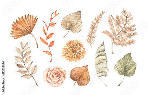Watercolor dried tropical leaves, gentle flowers and pampas. Botanical floral design elements. Beige, green, orange palm leaves. Perfect for wedding invitations, packaging, greetings cards