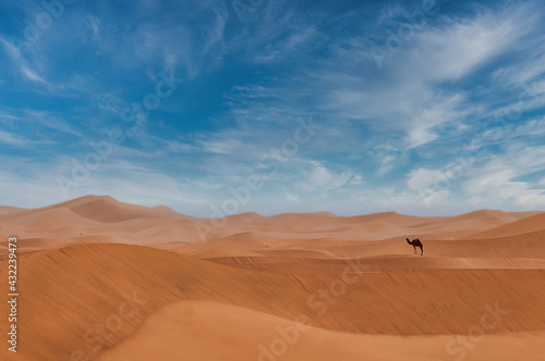 Biggest sand desert  Erg Chegaga  in Morocco