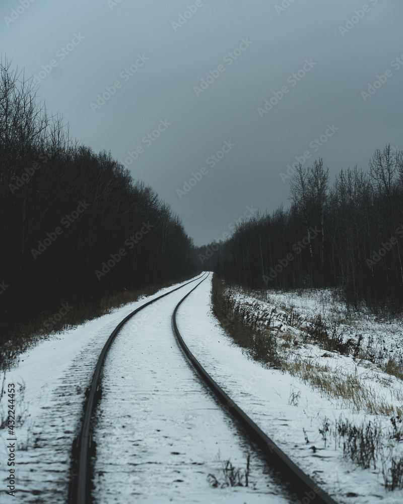 Obraz premium railway in winter